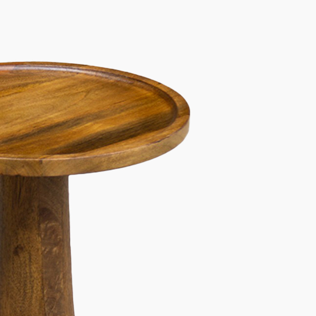 Christina Sculptural Wooden End Table